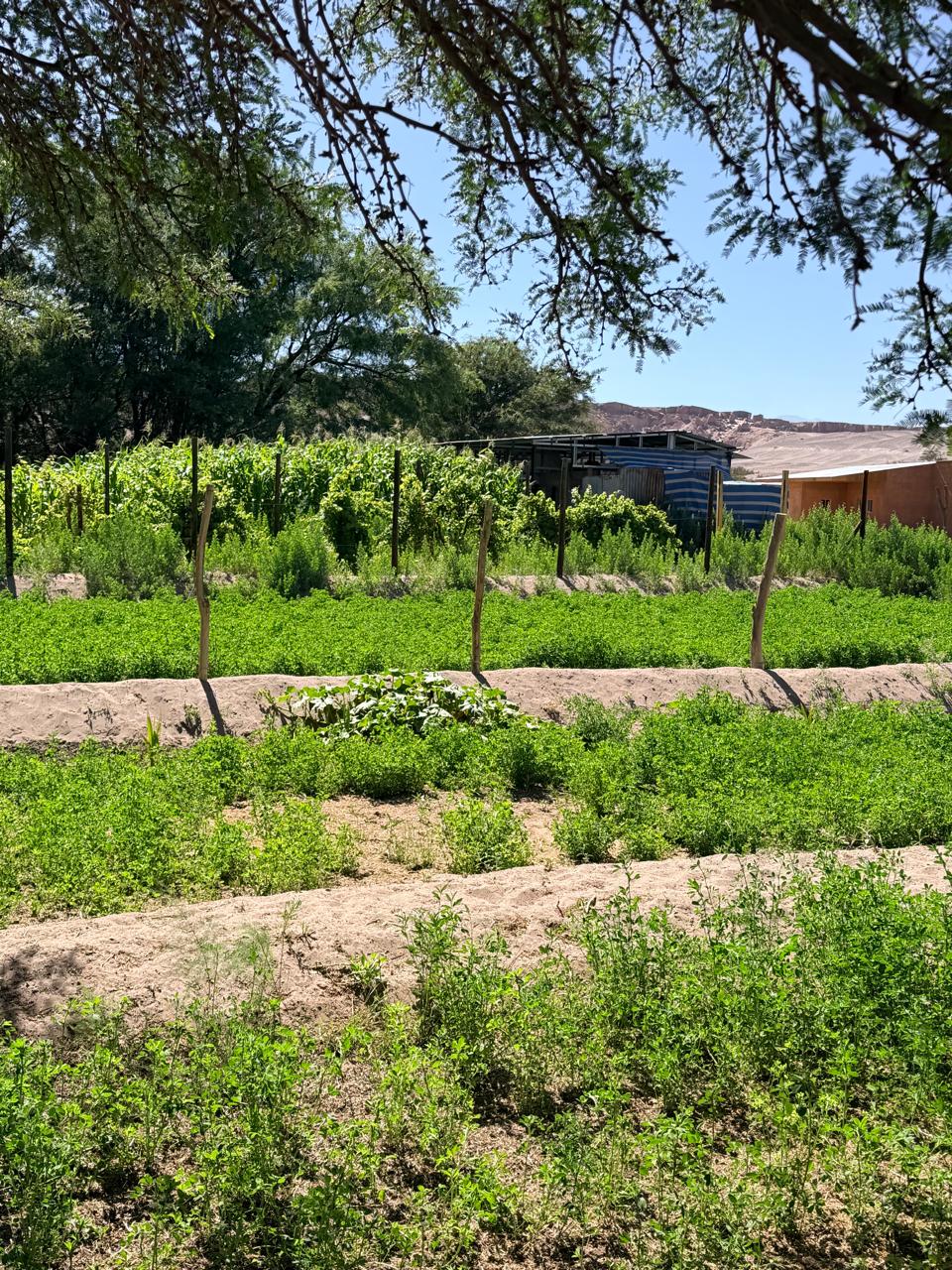 Agroturismo